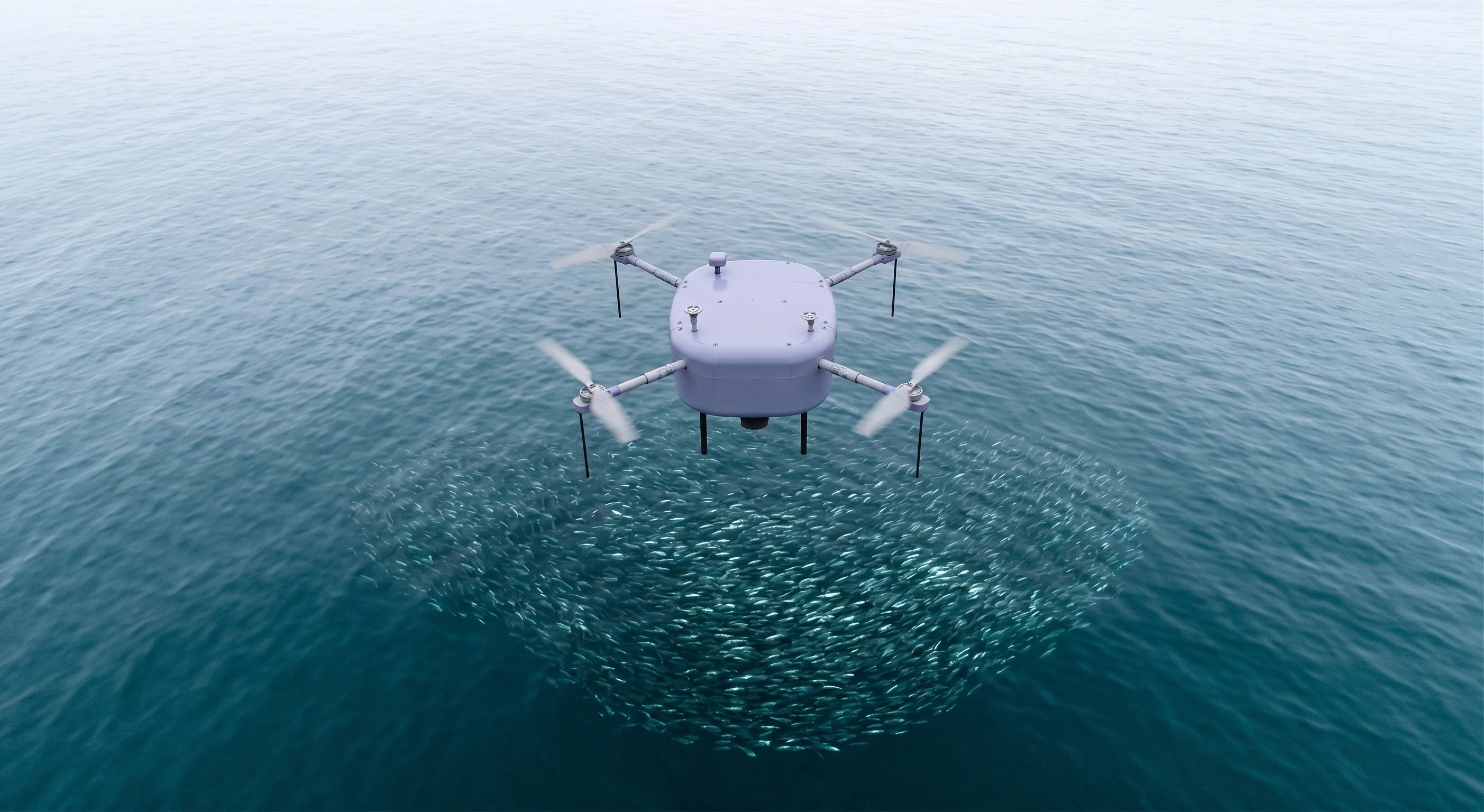 The Birdview drone hovering low over open water, a herring school shimmering beneath the surface